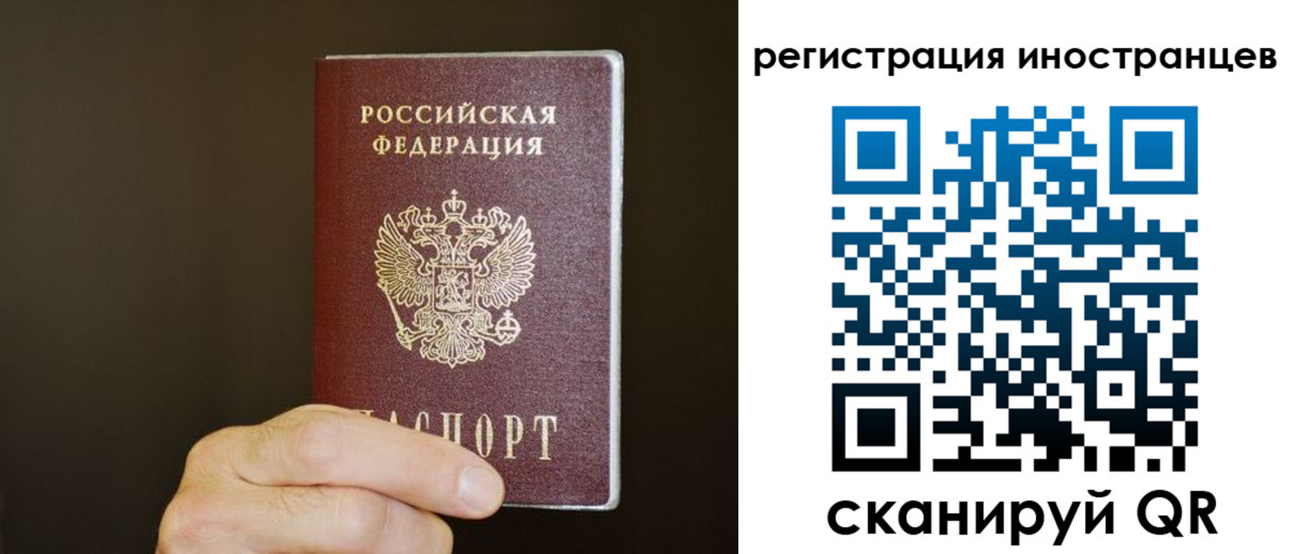 прописка в Ростовской области